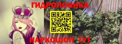трава Аргун
