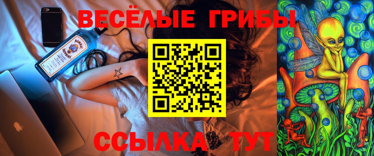 Галлюциногенные грибы GOLDEN TEACHER Бахчисарай
